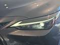 Lexus NX 300h 350h Executive 4WD Grau - thumbnail 20