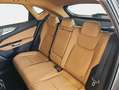 Lexus NX 300h 350h Executive 4WD Grau - thumbnail 9