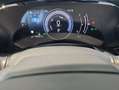 Lexus NX 300h 350h Executive 4WD Grau - thumbnail 14