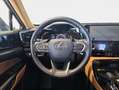 Lexus NX 300h 350h Executive 4WD Grau - thumbnail 11