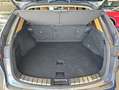 Lexus NX 300h 350h Executive 4WD Grau - thumbnail 23