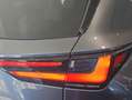 Lexus NX 300h 350h Executive 4WD Grau - thumbnail 21