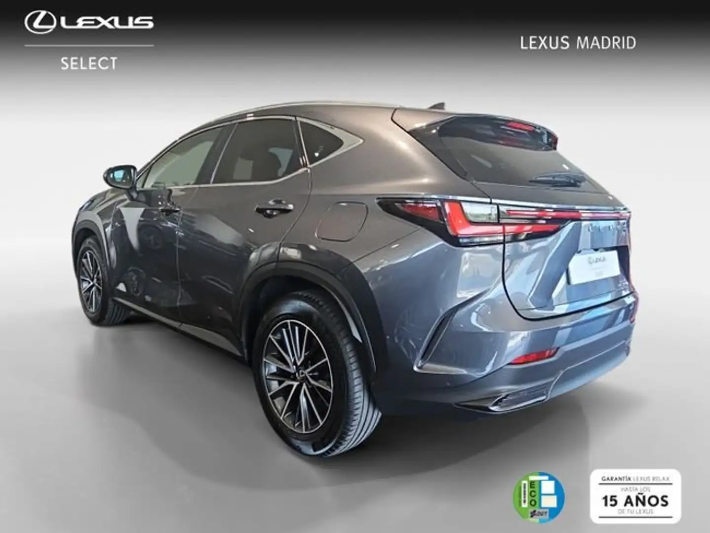 Lexus NX 300h 350h Executive 4WD Grau - 2
