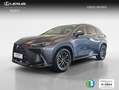 Lexus NX 300h 350h Executive 4WD Grau - thumbnail 1