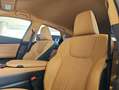 Lexus NX 300h 350h Executive 4WD Grau - thumbnail 7