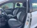 Volkswagen Polo Cross 1.2 TSI BlueMotion Technology Bianco - thumbnail 5