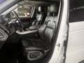 Land Rover Range Rover Sport 3.0SDV6 HSE Dynamic 306 Aut. Blanco - thumbnail 10