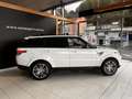 Land Rover Range Rover Sport 3.0SDV6 HSE Dynamic 306 Aut. Blanco - thumbnail 6