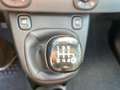 Fiat Panda New 1.0 70cv Hybrid Pop Weiß - thumbnail 19