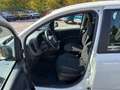 Fiat Panda New 1.0 70cv Hybrid Pop Weiß - thumbnail 13