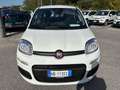 Fiat Panda New 1.0 70cv Hybrid Pop Weiß - thumbnail 7
