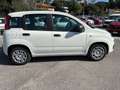 Fiat Panda New 1.0 70cv Hybrid Pop Weiß - thumbnail 6