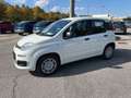 Fiat Panda New 1.0 70cv Hybrid Pop Weiß - thumbnail 8