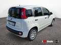 Fiat Panda New 1.0 70cv Hybrid Pop Weiß - thumbnail 3