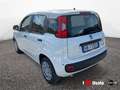 Fiat Panda New 1.0 70cv Hybrid Pop Weiß - thumbnail 4