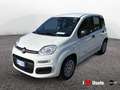 Fiat Panda New 1.0 70cv Hybrid Pop Weiß - thumbnail 1