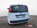 Fiat Panda New 1.0 70cv Hybrid Pop Weiß - thumbnail 5