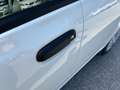 Fiat Panda New 1.0 70cv Hybrid Pop Weiß - thumbnail 9