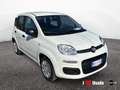 Fiat Panda New 1.0 70cv Hybrid Pop Weiß - thumbnail 2