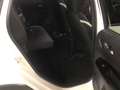 Honda Jazz Jazz 1.5 Hev Crosstar eCVT Executive Weiß - thumbnail 12
