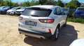 Ford Kuga 2.5 Duratec PHEV Titanium 4x2 Blanco - thumbnail 3
