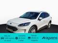 Ford Kuga 2.5 Duratec PHEV Titanium 4x2 Blanco - thumbnail 1