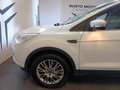 Ford Kuga 2.0 TDCI 140 CV 4WD Powershift Titanium Bianco - thumbnail 7