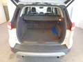 Ford Kuga 2.0 TDCI 140 CV 4WD Powershift Titanium Bianco - thumbnail 10