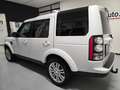 Land Rover Discovery 4 3.0 TDV6 HSE SERVICE LAND ROVER Weiß - thumbnail 6