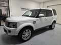Land Rover Discovery 4 3.0 TDV6 HSE SERVICE LAND ROVER Weiß - thumbnail 1