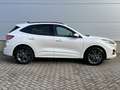 Ford Kuga 2.5 PHEV ST-Line X TREKHAAK! DRIVERPACK! WINTERPAC Wit - thumbnail 3