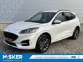 Ford Kuga 2.5 PHEV ST-Line X TREKHAAK! DRIVERPACK! WINTERPAC Wit - thumbnail 1