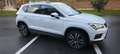 SEAT Ateca Ateca 1.4 TSI Xcellence Bianco - thumbnail 8