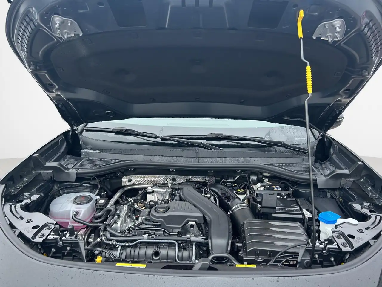 Volkswagen T-Roc Life 20