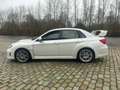 Subaru WRX 2.5 T Sport Biały - thumbnail 6