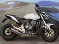 Honda Hornet 600 - 2011 - km 23225 Bianco - thumbnail 5