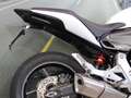 Honda Hornet 600 - 2011 - km 23225 Bianco - thumbnail 15
