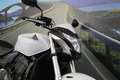 Honda Hornet 600 - 2011 - km 23225 Bianco - thumbnail 12
