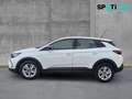 Opel Grandland 1.2 Turbo, LED,Klimaautom.,Kamera+PDC Wit - thumbnail 7