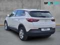 Opel Grandland 1.2 Turbo, LED,Klimaautom.,Kamera+PDC Wit - thumbnail 6