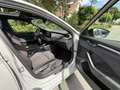Skoda Octavia Combi 2.0 TSI RS245 Pano•Trekhaak•Nardo Grijs - thumbnail 34