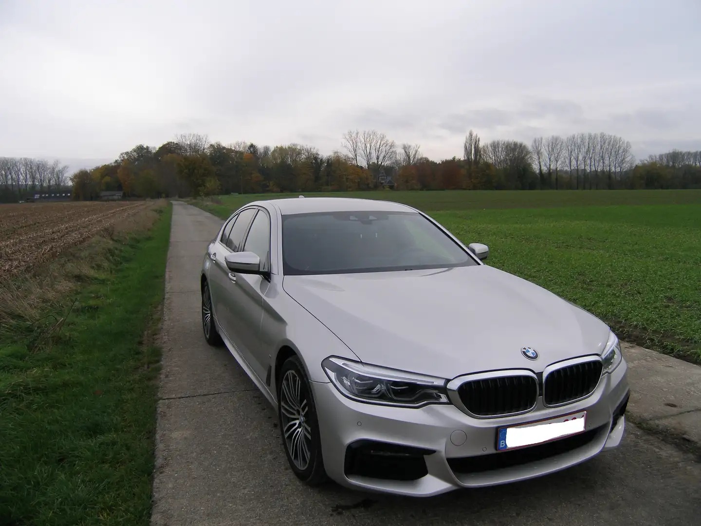 BMW 530 530e xDrive Aut. Luxury Line Stříbrná - 1