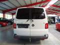 Volkswagen T6 Transporter Kasten-Kombi *DSG+Standheizung* Weiß - thumbnail 6