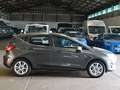Ford Fiesta Titanium 1.0l EcoBoost WiPa ACC Grau - thumbnail 6