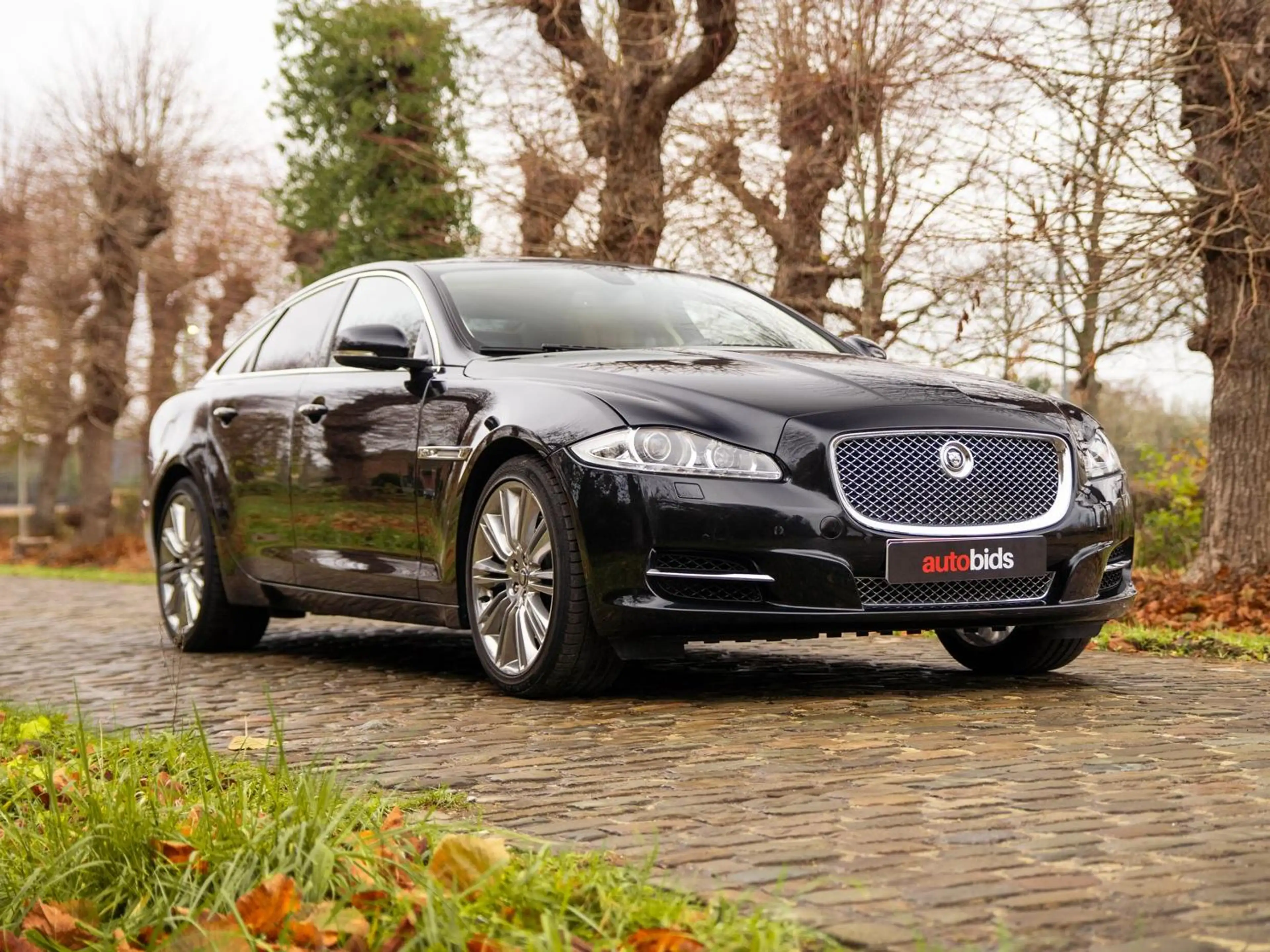 Jaguar XJ XJ Portfolio — photo 3