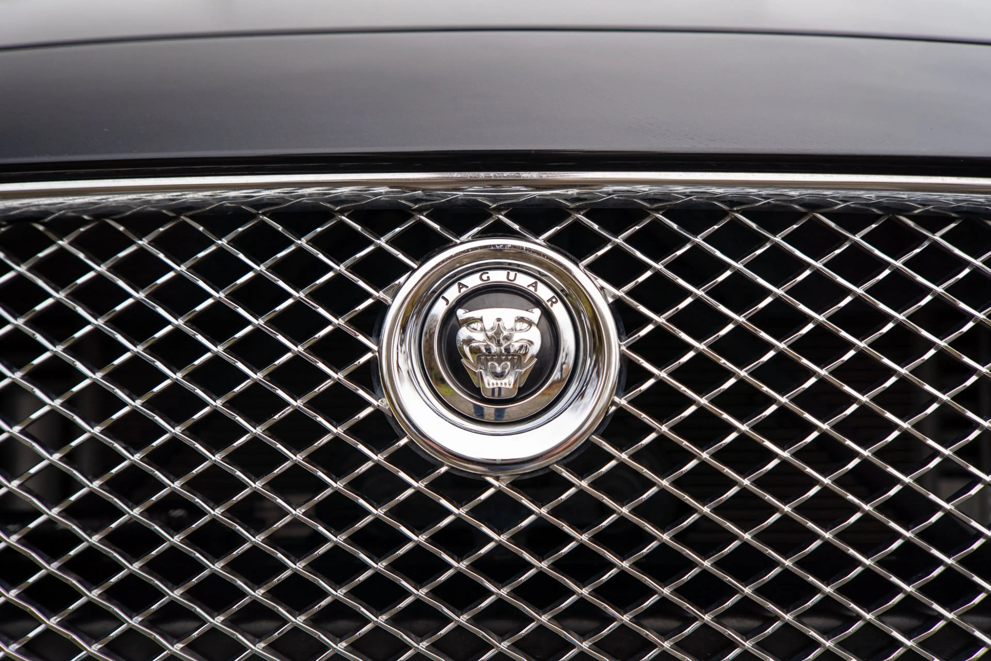 Jaguar XJ XJ Portfolio — photo 8