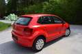 Volkswagen Polo Trendline pickerl neu garantie rostfrei Rot - thumbnail 9