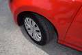 Volkswagen Polo Trendline pickerl neu garantie rostfrei Rot - thumbnail 6