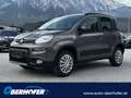 Fiat Panda 0.9 TA 85 4x4 Wild Anniversario 40 Grau - thumbnail 1
