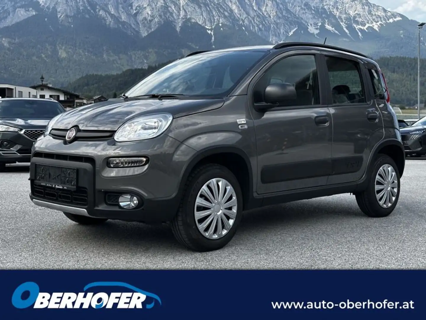 Fiat Panda 0.9 TA 85 4x4 Wild Anniversario 40 Grau - 1